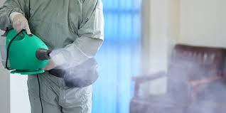 Deep Cleaning and Sanitization Service